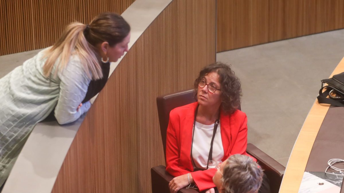 Judith Casal en una pausa avui en la sessió del Consell General