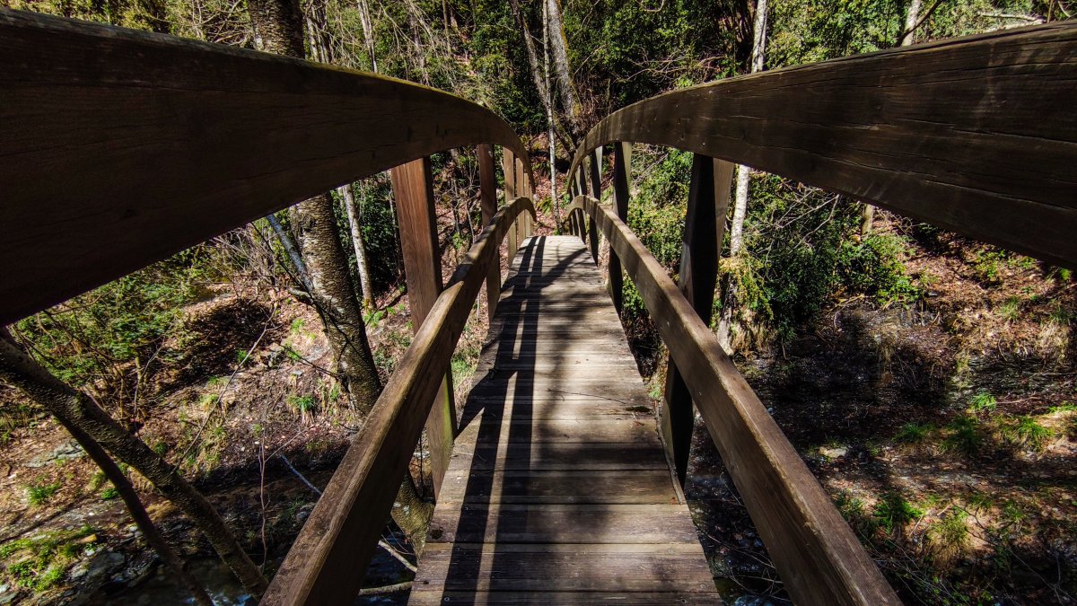 Pont de fusta del camí de les barreres de la Massana