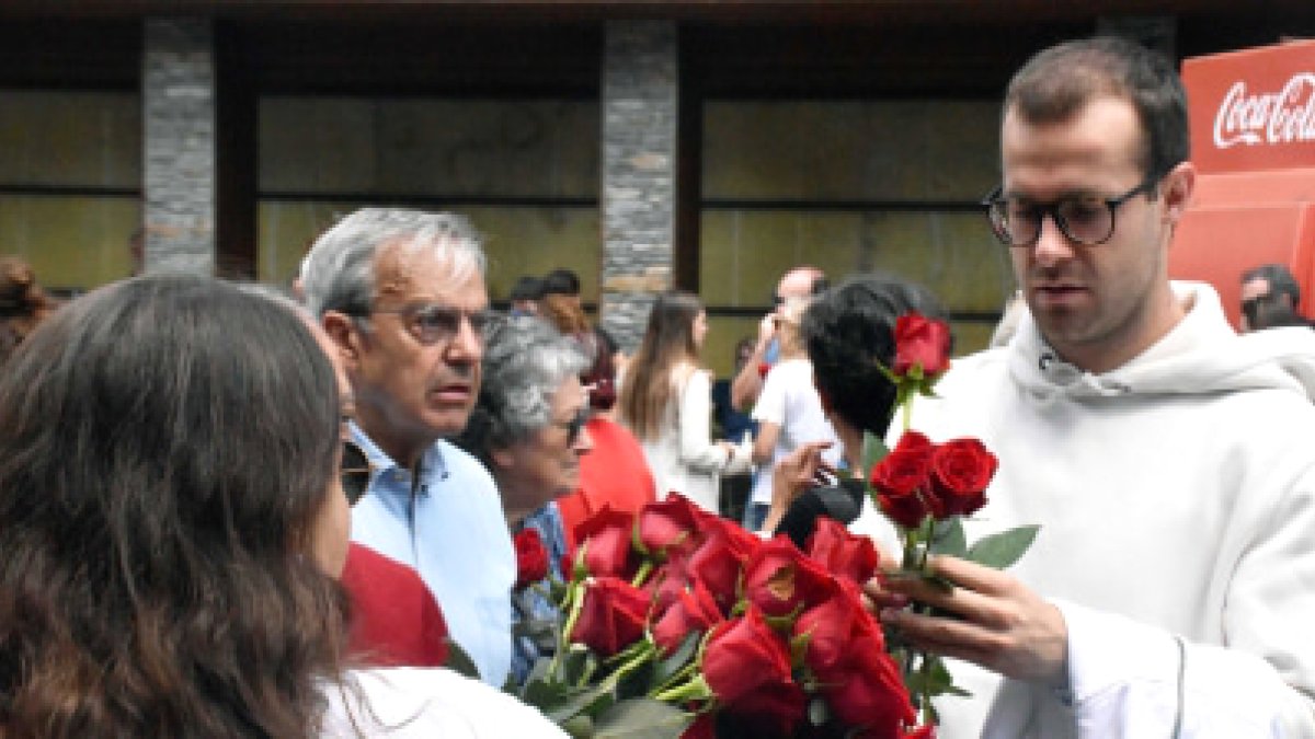 Un home aplegant les roses del Roser d’Ordino.