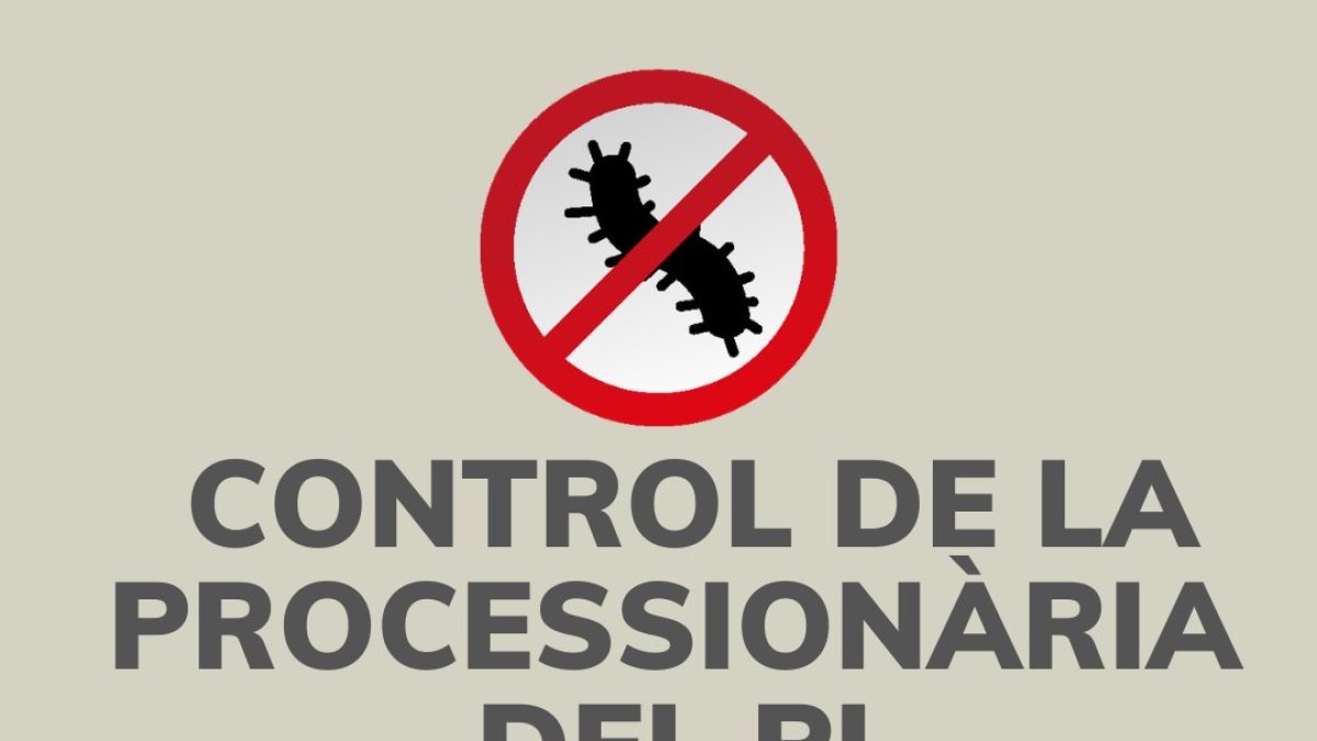 Campanya de control de la processionària del pi a Sant Julià