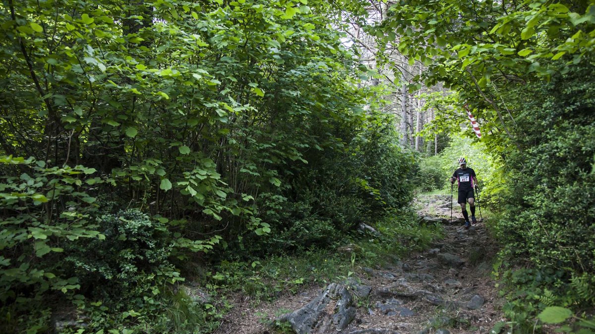 El comú d'Andorra la Vella obrirà un camí forestal