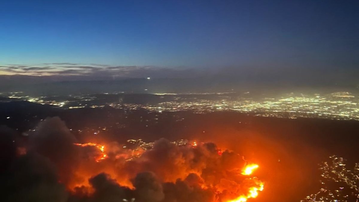 Focs de Califòrnia