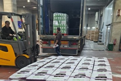 Els operaris carregant la llet al camió direcció València