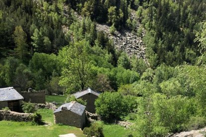 Bordes de Ramio a la vall del Madriu