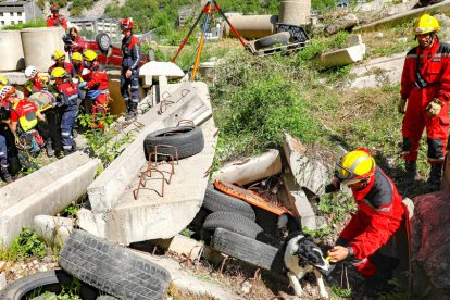 Preparant-se per a un fort terratrèmol