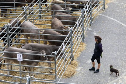 Eliminació del gravamen per importar herba