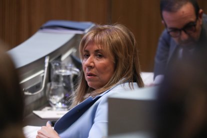 Marsol al Consell General durant les preguntes a Govern