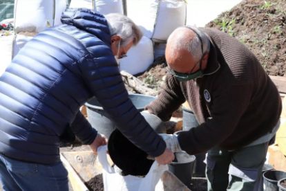 Veïns recollint compost