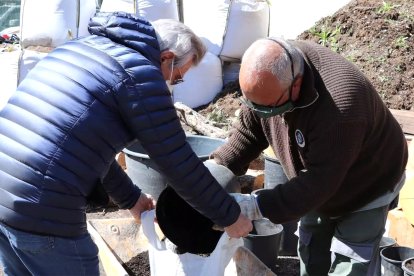 Veïns recollint compost.