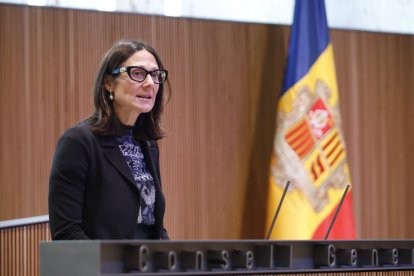 Esther Molné al Consell General, abril 2024