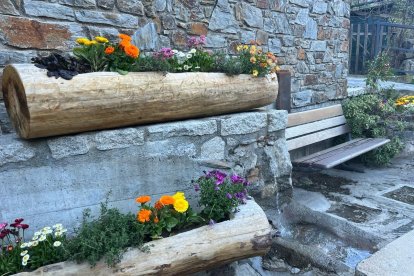 Plantes decoratives a la zona del Barri