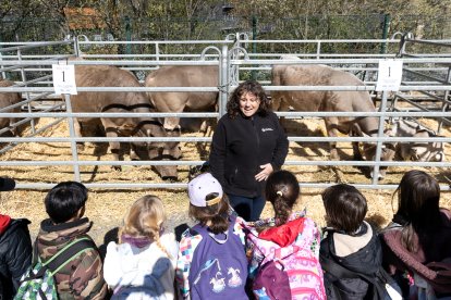 Cinc-cents escolars a la Fira del Bestiar