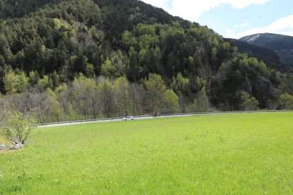 Zona de La Cortinada on va aparèixer l'os aquest matí