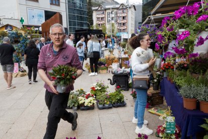 El mercat de la planta i les flors