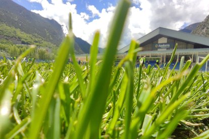 Gespa de l’Estadi Nacional.