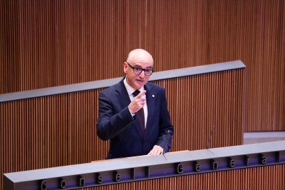 Ramon Lladós durant la intervenció ahir al Consell General.