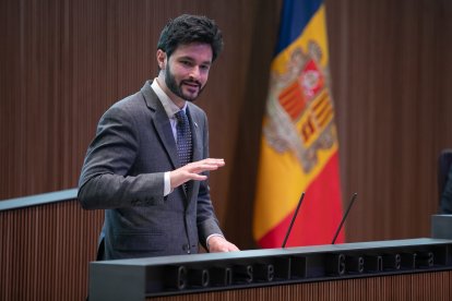 Cerni Escalé compareix a l'estrada del Consell General durant el debat d'orientació