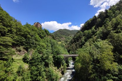 L’AR+I ha elaborat el primer inventari nacional forestal.