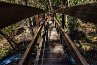 Pont de fusta del camí de les barreres de la Massana