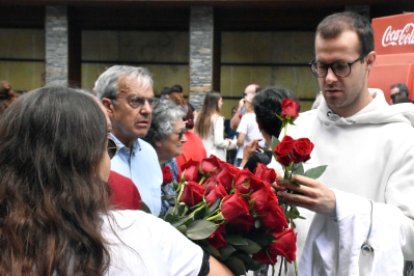 Un home aplegant les roses del Roser d’Ordino.