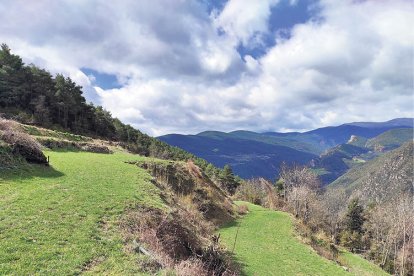 ELS CANVIS ES PODEN VEURE A ESCALA TEMPORAL DE POCS ANYS