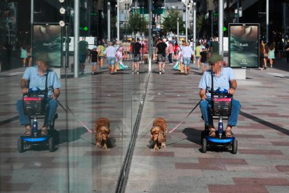 Una persona amb mobilitat reduïda passejant el seu gos.
Cadira de rodes discapacitat

Foto: Fernando Galindo