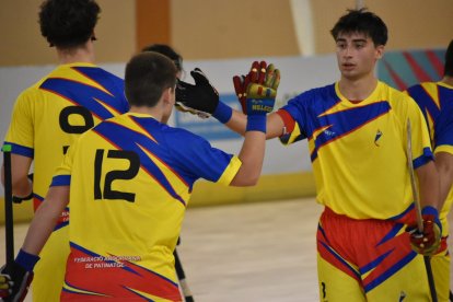 Els jugadors de la selecció celebrant un gol.