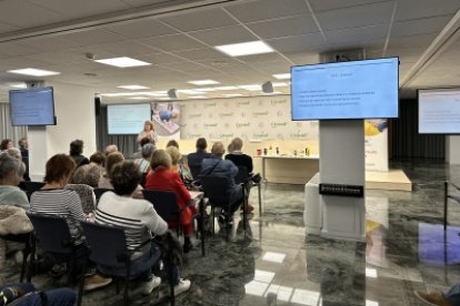 La infermera referent en cures Elisabet Mateos durant la seva conferència en la jornada sobre el control del sucre en persones amb diabetis de Creand Fundació.