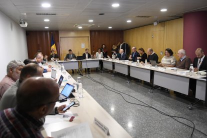 David Forné ha presidit la reunió de la comissió nacional d'energia