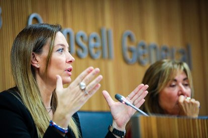 Les ministres Mas i Marsol van donar explicacions al Consell sobre la caiguda del projecte.