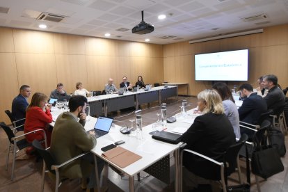 Reunió del Consell Andorrà d'Estadística