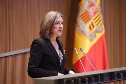 Maria Àngels Aché durant la sessió.