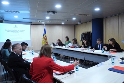 Un moment de la reunió de la Comissió Nacional de Prevenció de la Violència de Gènere