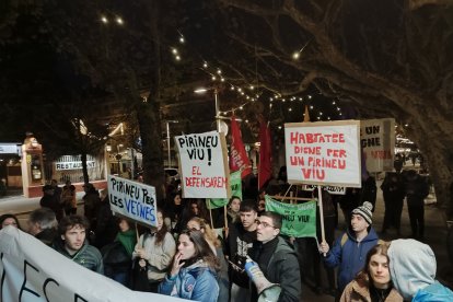 Manifestació Pirineu Viu la Seu d'Urgell