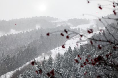 Torb a pistes el 23 de desembre passat.