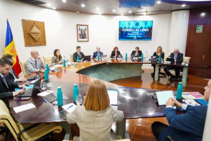 El consell de comú celebrat ahir.