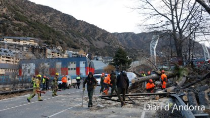 Operaris treballant per treure l'arbre caigut a la carretera General 1.