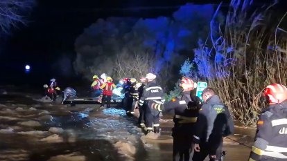 Rescat gossos borrasca Leonardo.