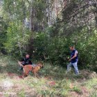 Un dels entrenaments del grup caní