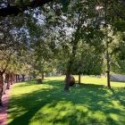 El Parc Central
