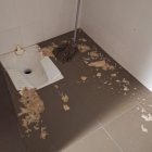 Excrements al despatx de policia de la duana