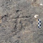 El gravat medieval descobert a Ordino