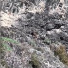 Mufló Escaldes