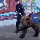 La policia russa patrulla amb un os