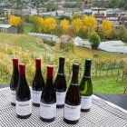 Exposició de vins.