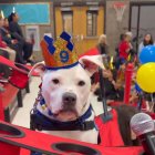 La celebració d’aniversari de Cole