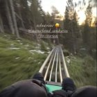 Aitana al tobotronc.