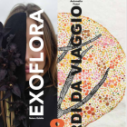 Cartell de l'exposició que s'exposarà a L'Institucional.