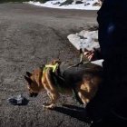 Captura del vídeo demostratiu de la mesura.