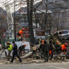 Operaris treballant per treure l’arbre.